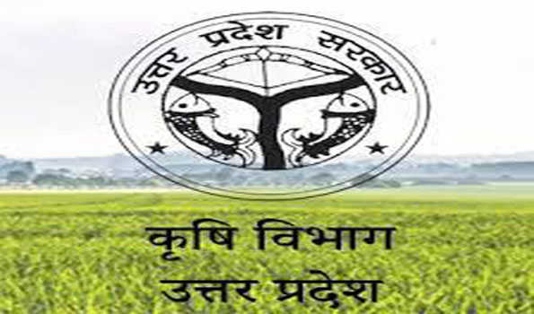 पारिस्थितिक संतुलन के लिए भी जरूरी है मोटा अनाज