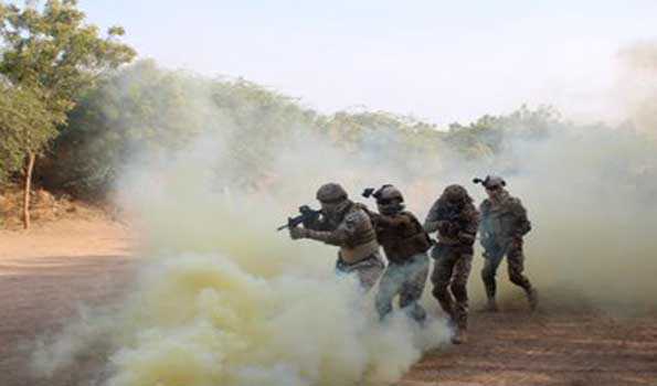 भारत और मिस्र के बीच सैन्य अभ्यास साइक्लोन