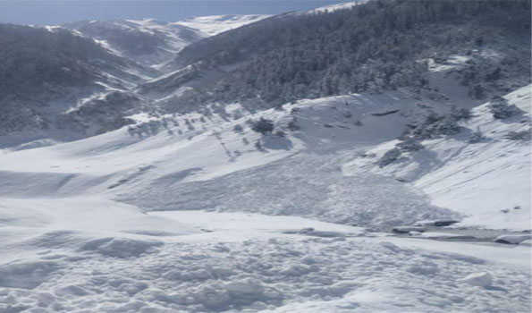 Authorities issue avalanche warning in 10 J&K districts amid heavy snowfall