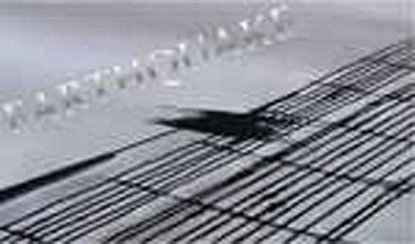 अलास्का में भूकंप के झटके