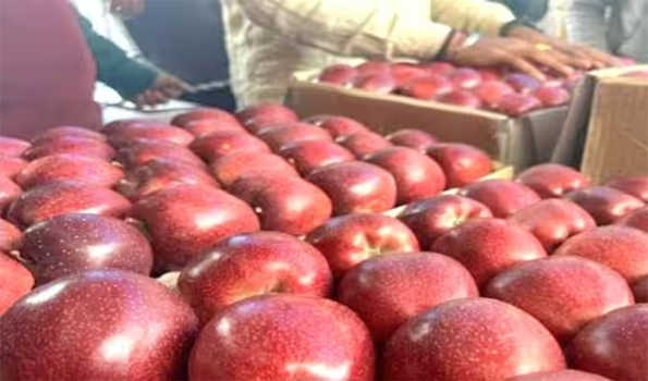 मंडियों तक पहुंची पौने दो करोड़ सेब की पेटियां