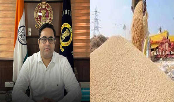 जालंधर में 24954 टन धान की लिफ्टिंग, किसानों को 428 करोड़ का भुगतान