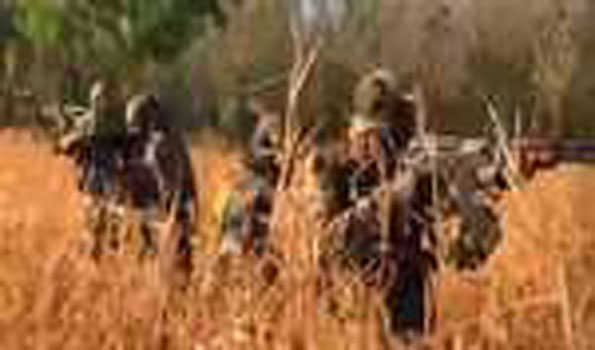 उरी सेक्टर में घुसपैठ की कोशिश नाकाम, हथियार बरामद