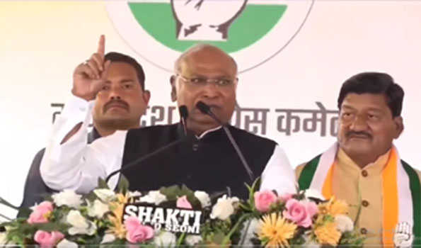 अंग्रेजाें को देश से भगाने वाली कांग्रेस मोदी से नहीं डरेगी - खड़गे