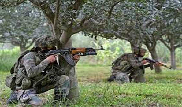 राजौरी में सुरक्षा बलों के साथ मुठभेड़ में एक आतंकवादी ढेर