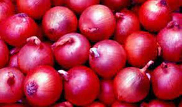 अलवर की लाल प्याज के अच्छे भाव से किसान खुश