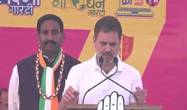 मोदी ने जातीय जनगणना के सवाल पर एक शब्द नहीं बोला: राहुल