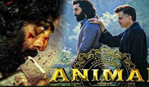 'एनिमल' ने 200 करोड़ की कमाई की