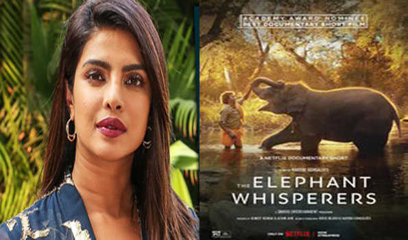 प्रियंका चोपड़ा ने ऑस्कर नॉमिनेटेड डॉक्यूमेंट्री फिल्म द एलिफेंट व्हिस्परर्स की तारीफ की