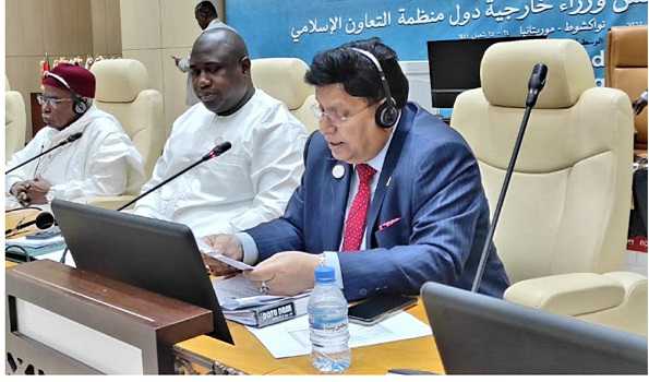 OIC members must strive collectively for solution to  Rohingya crisis