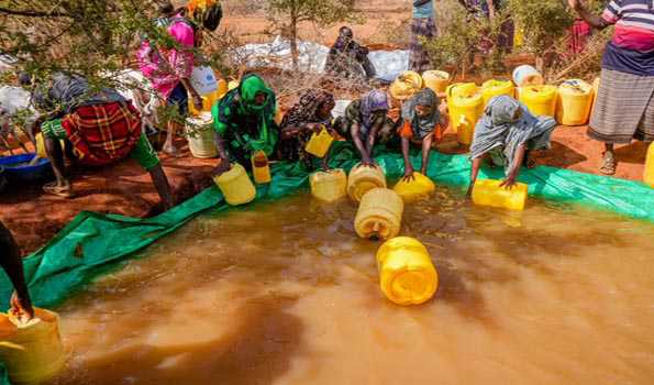 WHO says cholera risk at global level very high