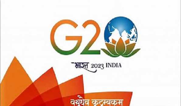 Responsibilities of departments fixed for successful organization of G20 meeting: DC