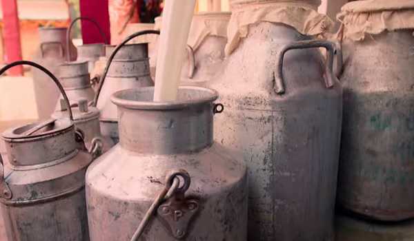 Detect milk adulteration in 30 secs , IIT-M develops pocket-friendly device
