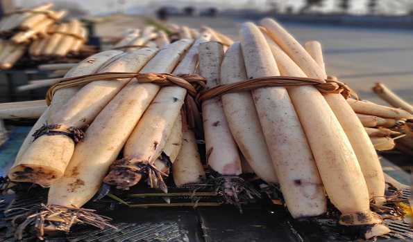 J&K govt gives big push to promotion of 'Nadru' of Dal Lake in international market