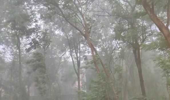 Rains in several parts of Odisha paralyse normal life