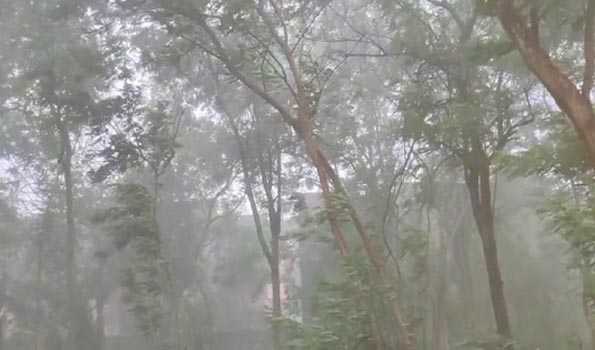 Rains in several parts of Odisha paralyse normal life