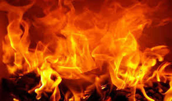 बरेली में फोम फैक्ट्री में आग,चार जिंदा जले