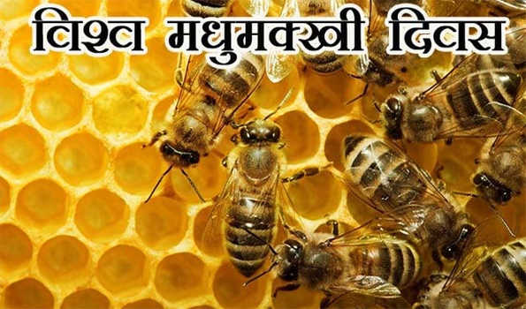 विश्व मधुमक्खी दिवस 20 मई को मध्य प्रदेश में