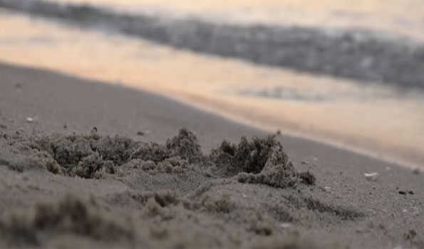 Indonesia reopens sea sand exports after 20 yrs of ban