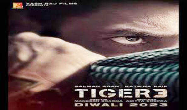 टाइगर 3 के सेट से लीक हुआ सलमान-शाहरुख का वीडियो