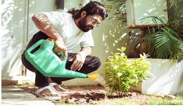 Allu Arjun plants saplings on ‘World Environment Day’
