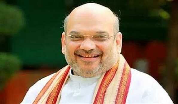 Amit Shah to visit TN tomorrow, might sound poll bugle at public meeting in Vellore