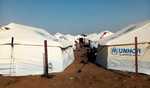 UNSC urges ceasefire, humanitarian access in Sudan