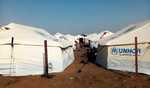 UNSC urges ceasefire, humanitarian access in Sudan UNSC urges ceasefire, humanitarian access in Sudan