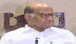 Don't give importance to useless issues like love jihad: Sharad Pawar