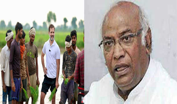 राहुल का खेत मजदूरों से संवाद कांग्रेस की संवेदनशीलता का प्रतीक: खड़गे