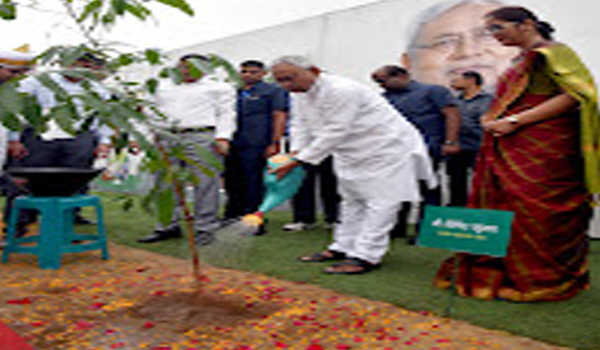 नीतीश ने वन महोत्सव का किया शुभारंभ