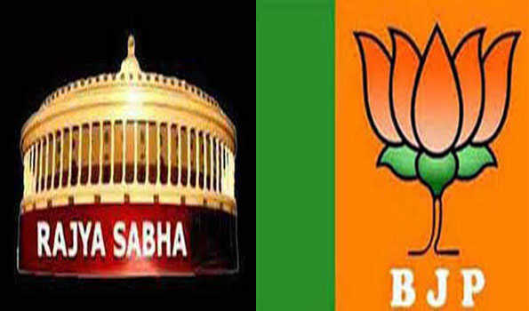 भाजपा ने राज्यसभा के लिए गोवा का उम्मीदवार घोषित किया