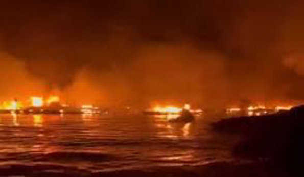 अमेरिका में हवाई के जगंलों में लगी आग से छह लोगों की मौत