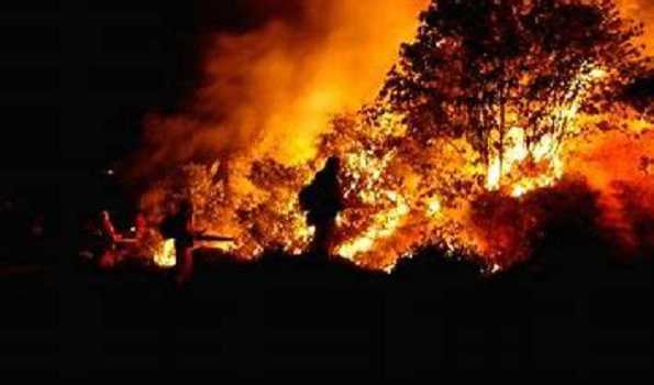 अमेरिका के हवाई में दावानल से मरने वालों की संख्या 93 हुयी