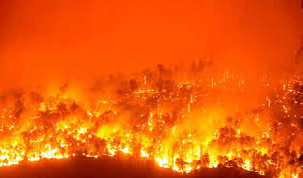 फ्रांस के जंगल में आग, 3000 लोगों को निकाला गया