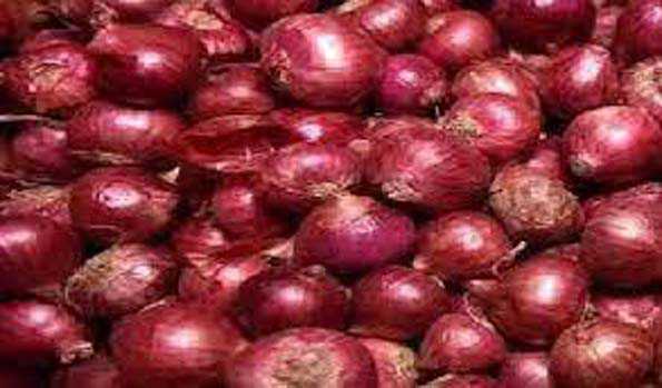 प्याज पर दिसंबर तक 40 प्रतिशत निर्यात शुल्क लागू
