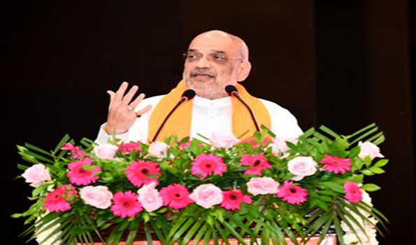 मध्यप्रदेश का विधानसभा चुनाव भाजपा के भविष्य का चुनाव: शाह