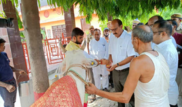 वृहद टीकाकरण व जागरूकता से ही लंपी बीमारी को फैलने से रोका जा सकता है:उमेश मिश्रा