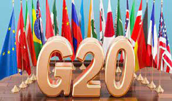 जी20 शीर्ष नेताओं की नयी दिल्ली बैठक से पहले भारत की  अध्यक्षता में हुई इस मंच पर हुई कई नई पहल