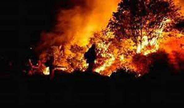 हवाई के जंगल की आग से मरने वालों की संख्या 115 से घटाकर 97 की गयी