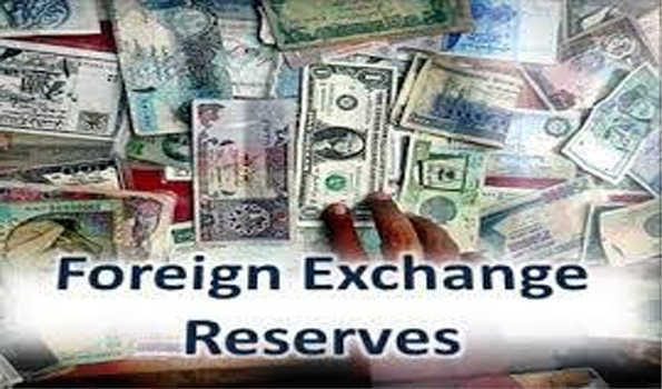 विदेशी मुद्रा भंडार 86.7 करोड़ डॉलर कम होकर 593.04 अरब डॉलर पर