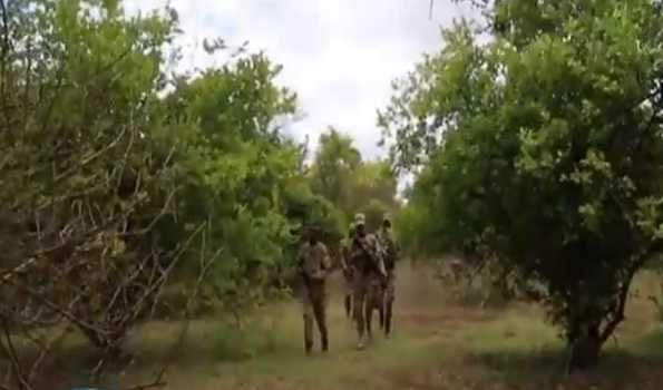 Somali army kill 27 al-Shabab fighters