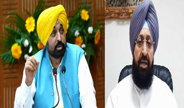 LoP Bajwa should stop day dreaming about becoming Punjab CM :  Mann