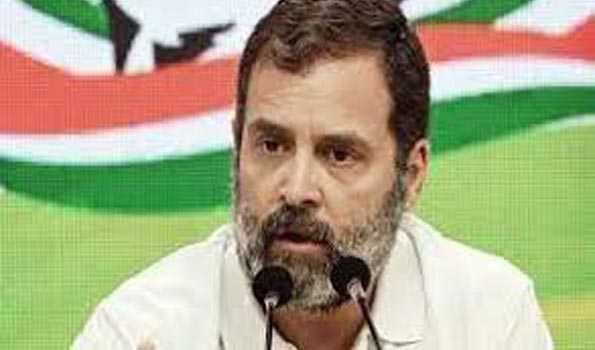 डिग्री इंजीनियर कर रहे हैं कुली का काम : राहुल