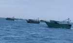 Three fishermen missing after boat capsizes off TN coast, ICG alerted