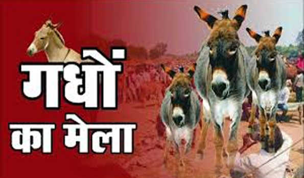 चित्रकूट मेले में 185000 रु में बिका गधा