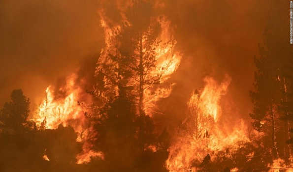 चिली के जंगलों में लगी आग से मरने वालों की संख्या बढ़कर 131 हुई