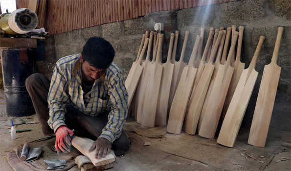 कश्मीर के बल्ला निर्माताओं की विलो वृक्षारोपण की अपील