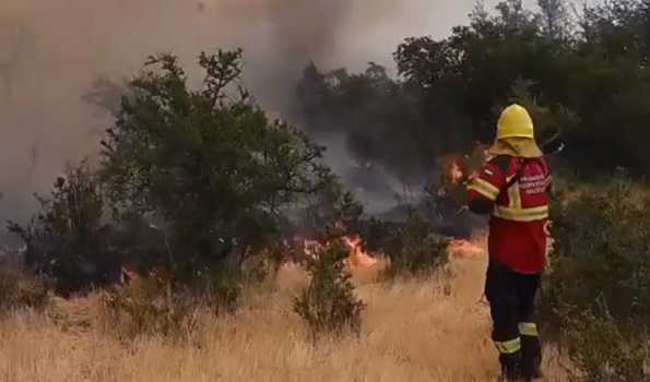 अर्जेंटीना में जंगल की आग से राष्ट्रीय उद्यान का 8,205 हेक्टेयर क्षेत्र जलकर खाक