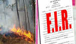 वनों में आग लगाने वालों के खिलाफ एफआईआर दर्ज करने के निर्देश